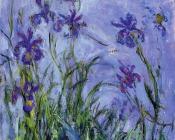 克劳德莫奈 - Lilac Irises